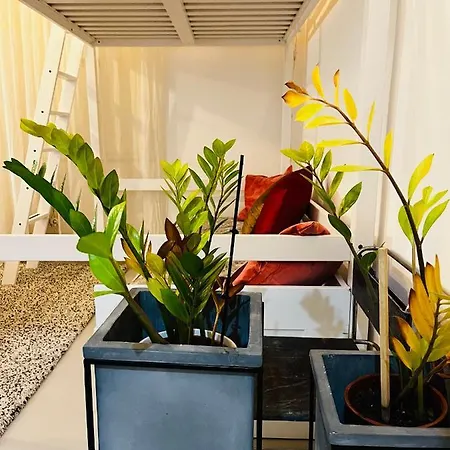 Sweet Life House Cavour Apartamento