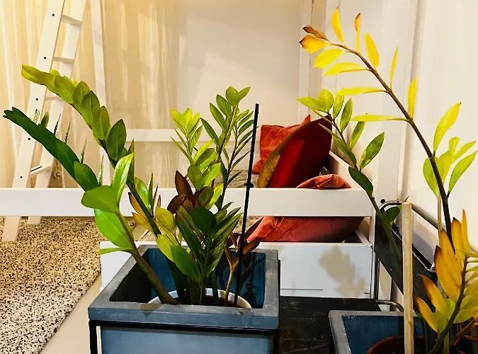 Sweet Life House Cavour Apartamento